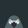 Grey Parrot - bird wallpaper for iPhone