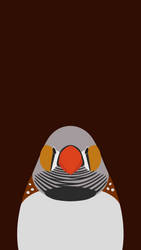 Zebra Finch  - bird wallpaper for iPhone