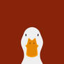 Domestic Duck - bird wallpaper for iPhone