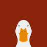 Domestic Duck  - bird wallpaper for iPhone