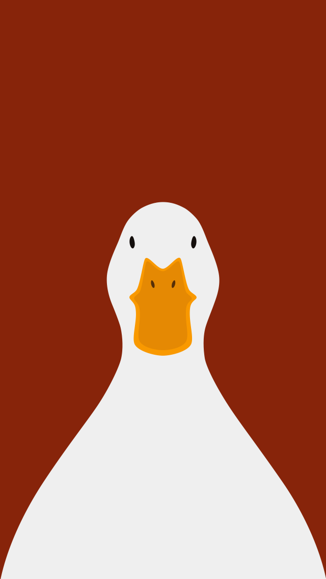 Domestic Duck  - bird wallpaper for iPhone