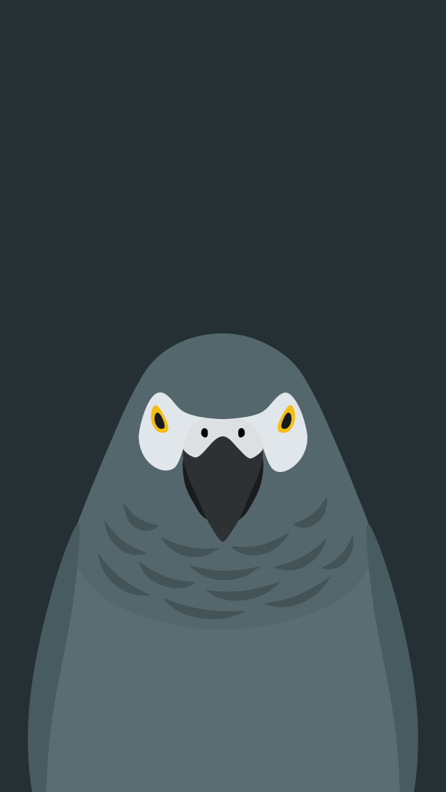 Grey Parrot v2 - bird wallpaper for iPhone by birnimal