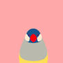 Pink Java Sparrow Wallpaper for Android