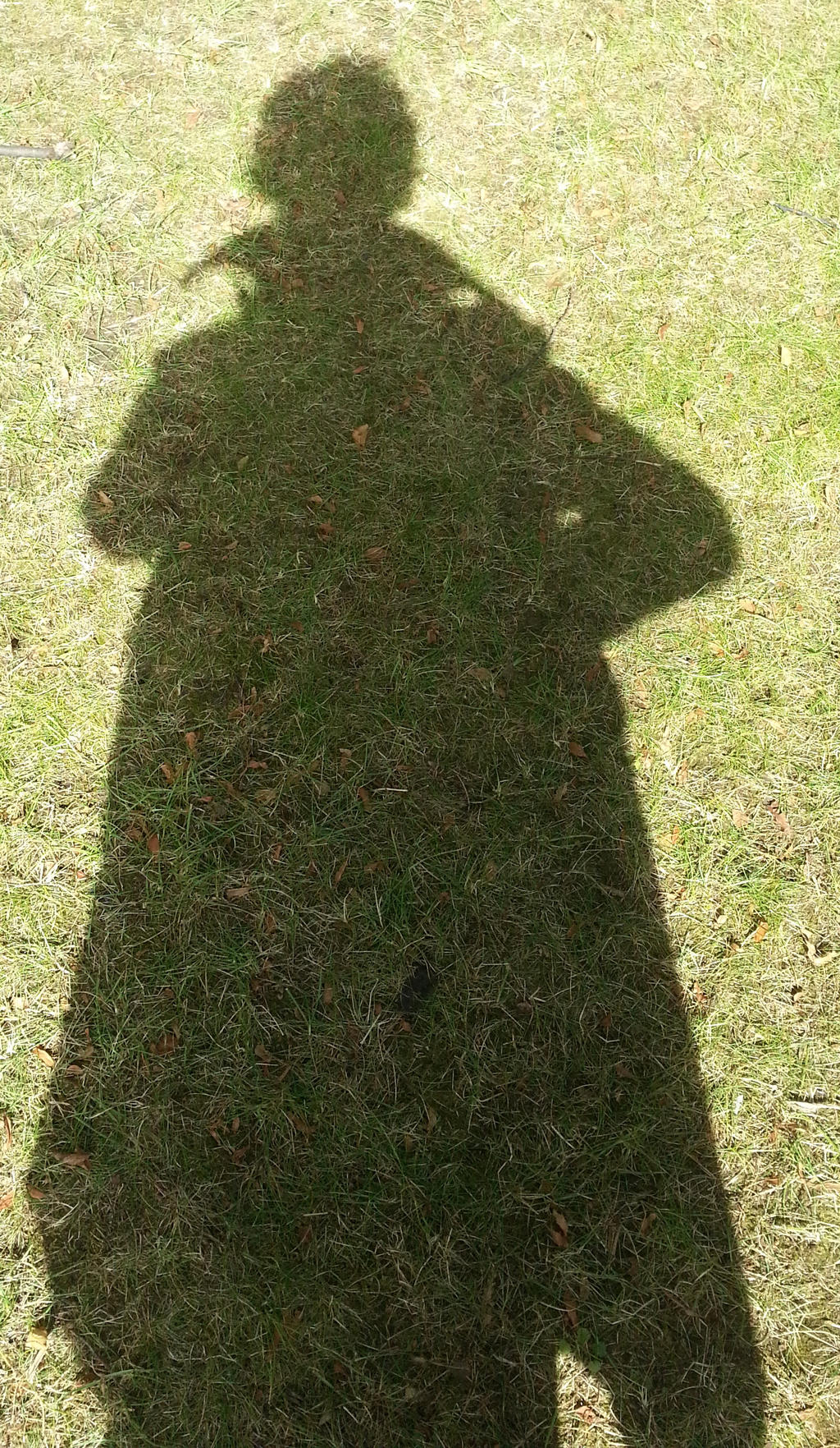 shadow of myself