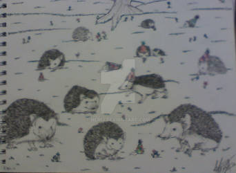 field of partying hedgehogs