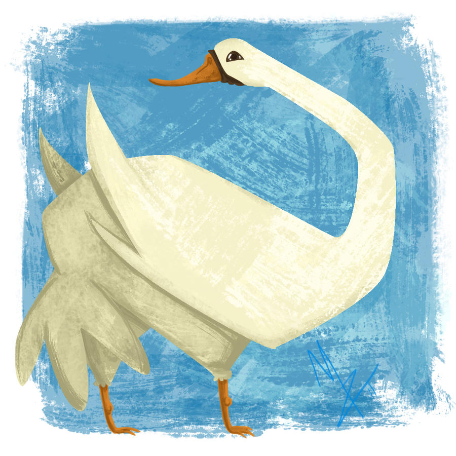 Here is a swan