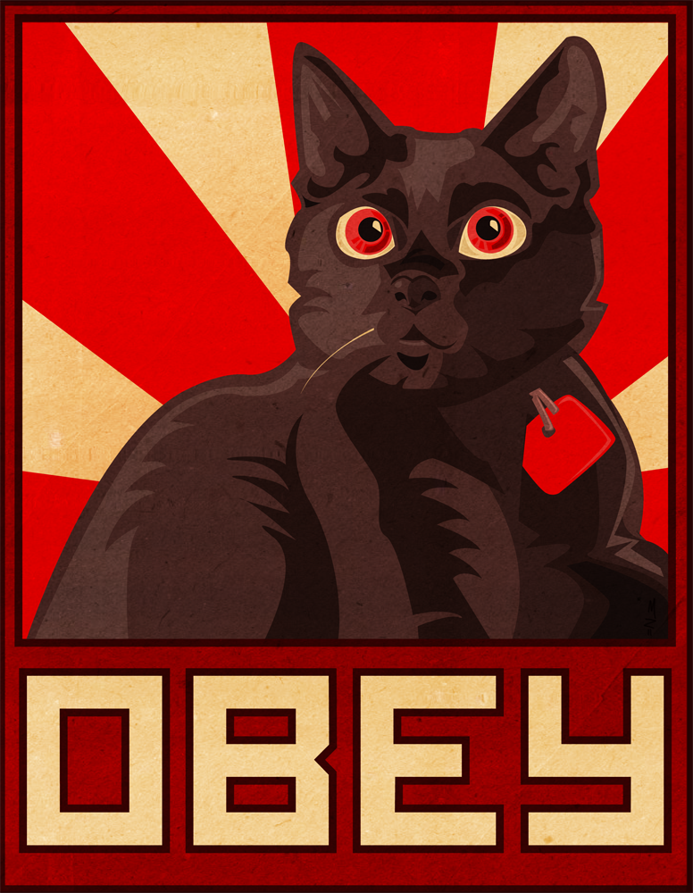 You should obey this cat