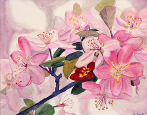 Crab Apple Blossoms Painting