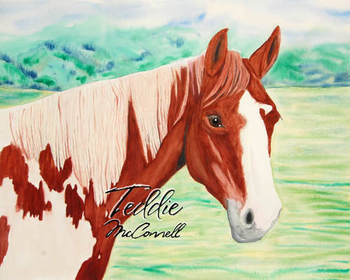 Pinto Horse Watercolor