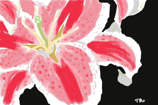 Pink Lillies-Graphic Style