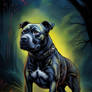 Staffordshire bull terrier 