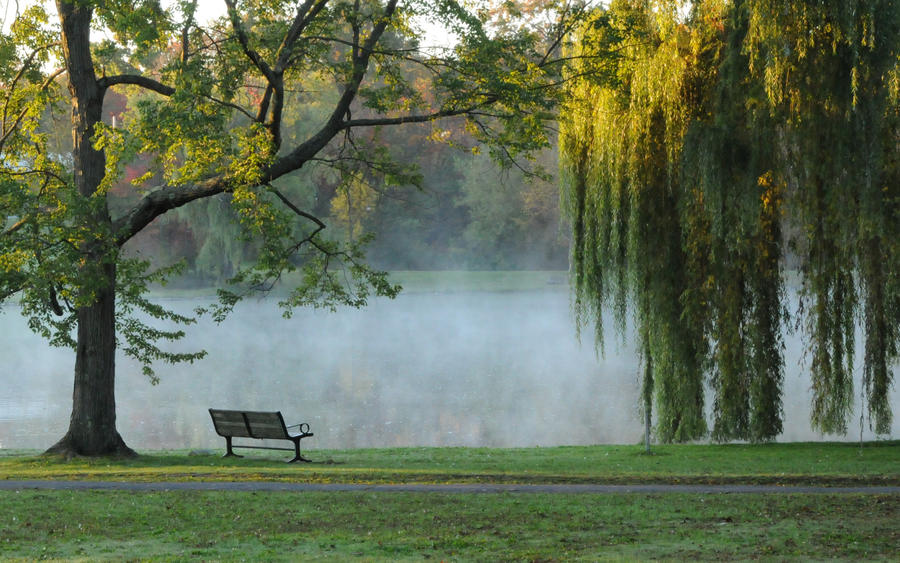 Foggy Morning I