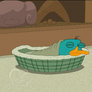 Perry Misses Phineas and Ferb (animated)