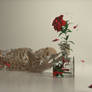 ROMANCE