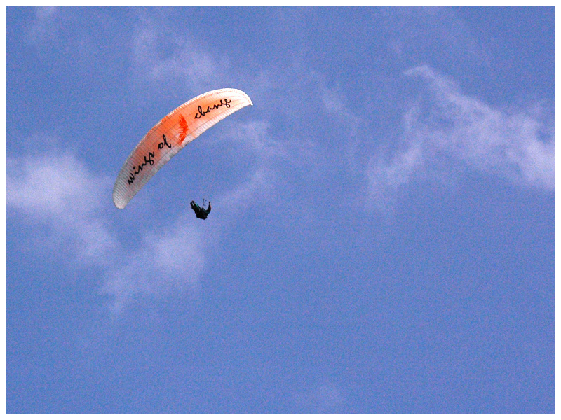 Paraglider