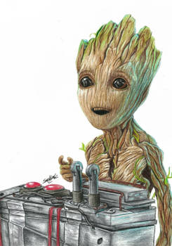 Groot