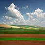 Colorful spring fields