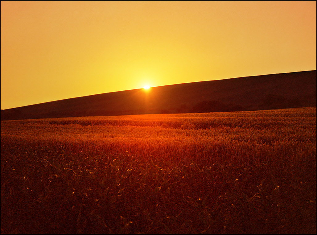 Sunset over the Pannonian sea