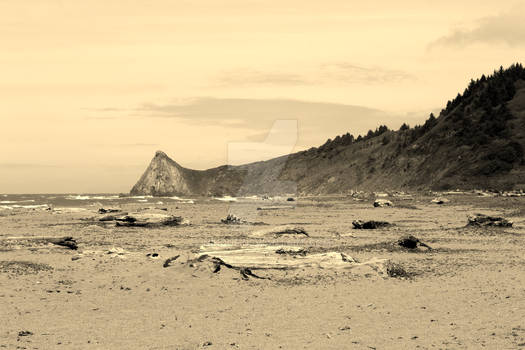 Big Lagoon Beach, California ~ Humboldt