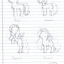 Sketch - Types of Ponies