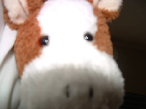 what are you lookoin at?