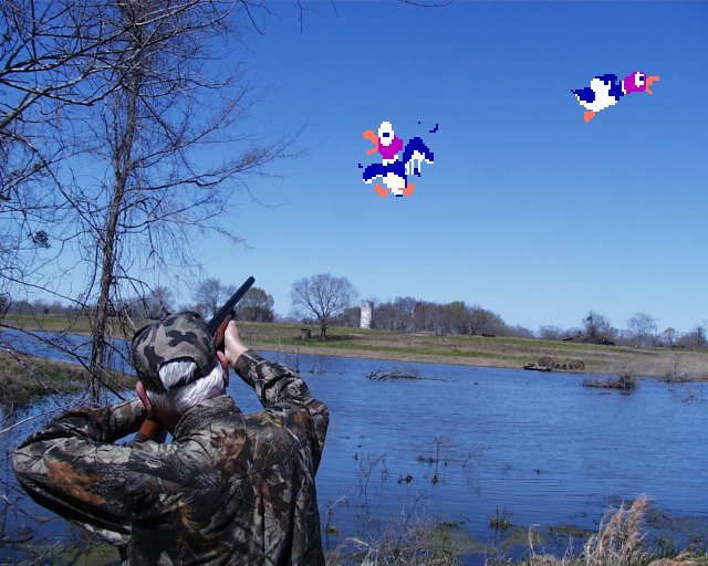 Duck Hunt