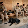 Man's Best Friend...