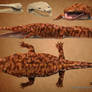 Metoposaurus diagnosticus
