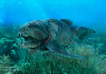 Dunkleosteus terrelli