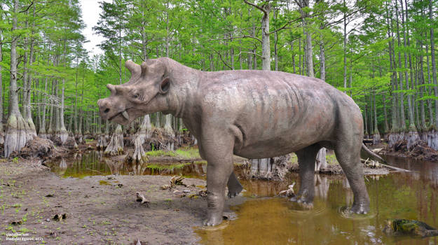 Uintatherium