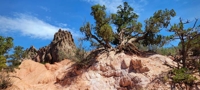 Garden Of The Gods 03