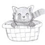 Red Panda In A Basket