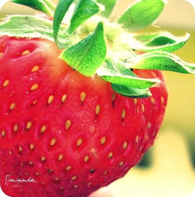 strawberry