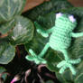Tiny Frog :)