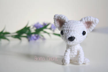 Chihuahua Kawaii Amigurumi dog doll