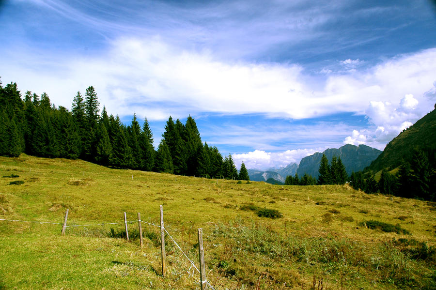 Austrian Landscape