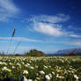 spring in italy