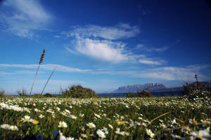 spring in italy