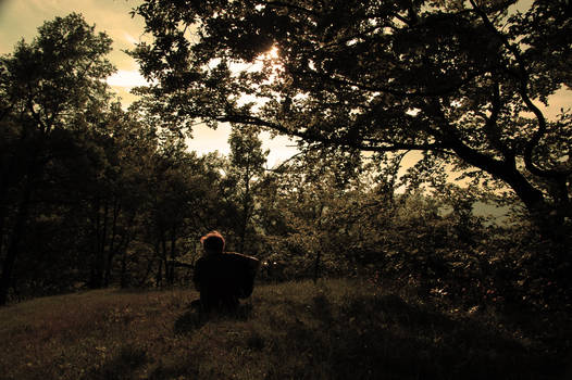 guitar for the nature