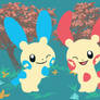 Plusle and Minun