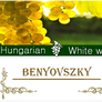 Benyovszky Bor Hungarian Wine