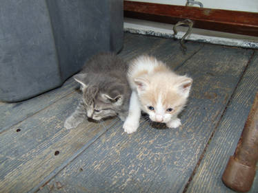 Tiny Units
