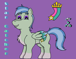 Star Catcher Ref sheet