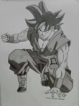 Goku in Base Form
