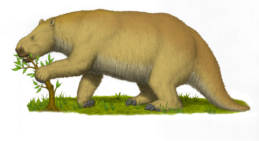 Microlodon Mylodon Colored by berno666 on DeviantArt