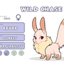 PKMNS: 2621 Wild Chase