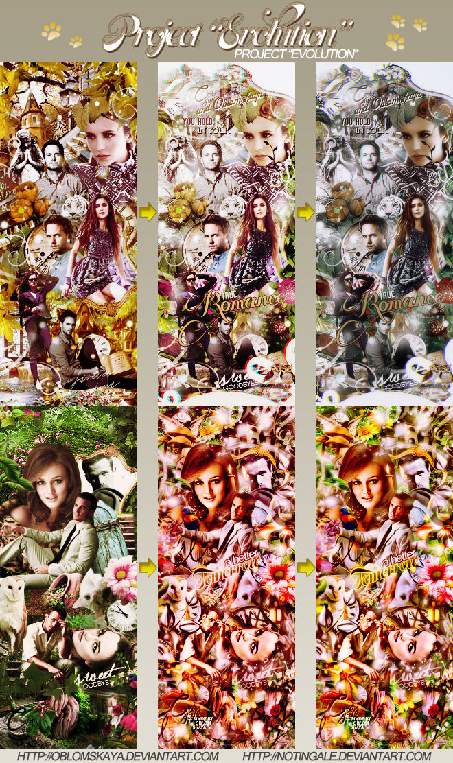 Project evolution by by-Oblomskaya on DeviantArt