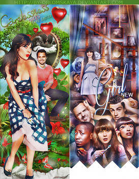 New Girl mini-project