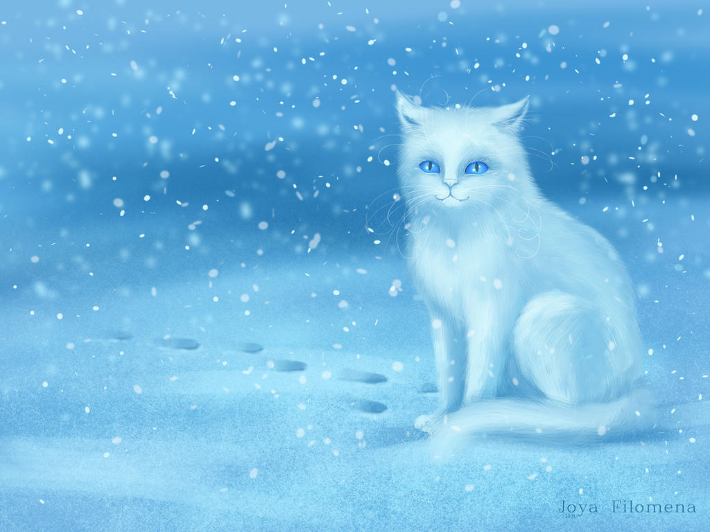 Winter cat