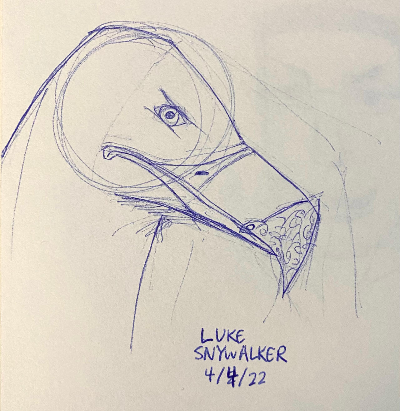 The hawk (Rango) - ballpoint pen sketch by LukeSnywalker523 on DeviantArt